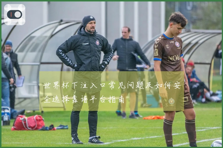 世界杯下注入口常见问题及如何安全选择靠谱平台指南